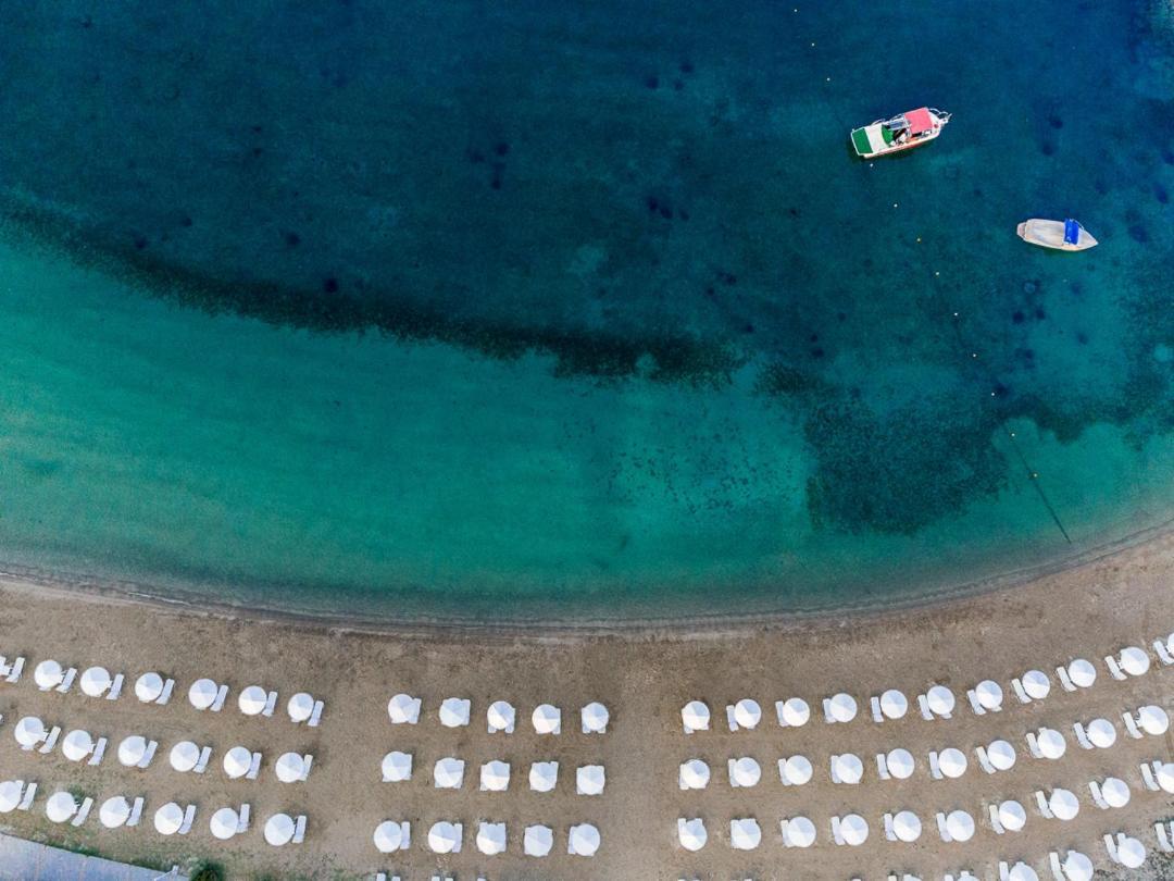 Palmariva Beach Hotel เอเรเทรีย ภายนอก รูปภาพ